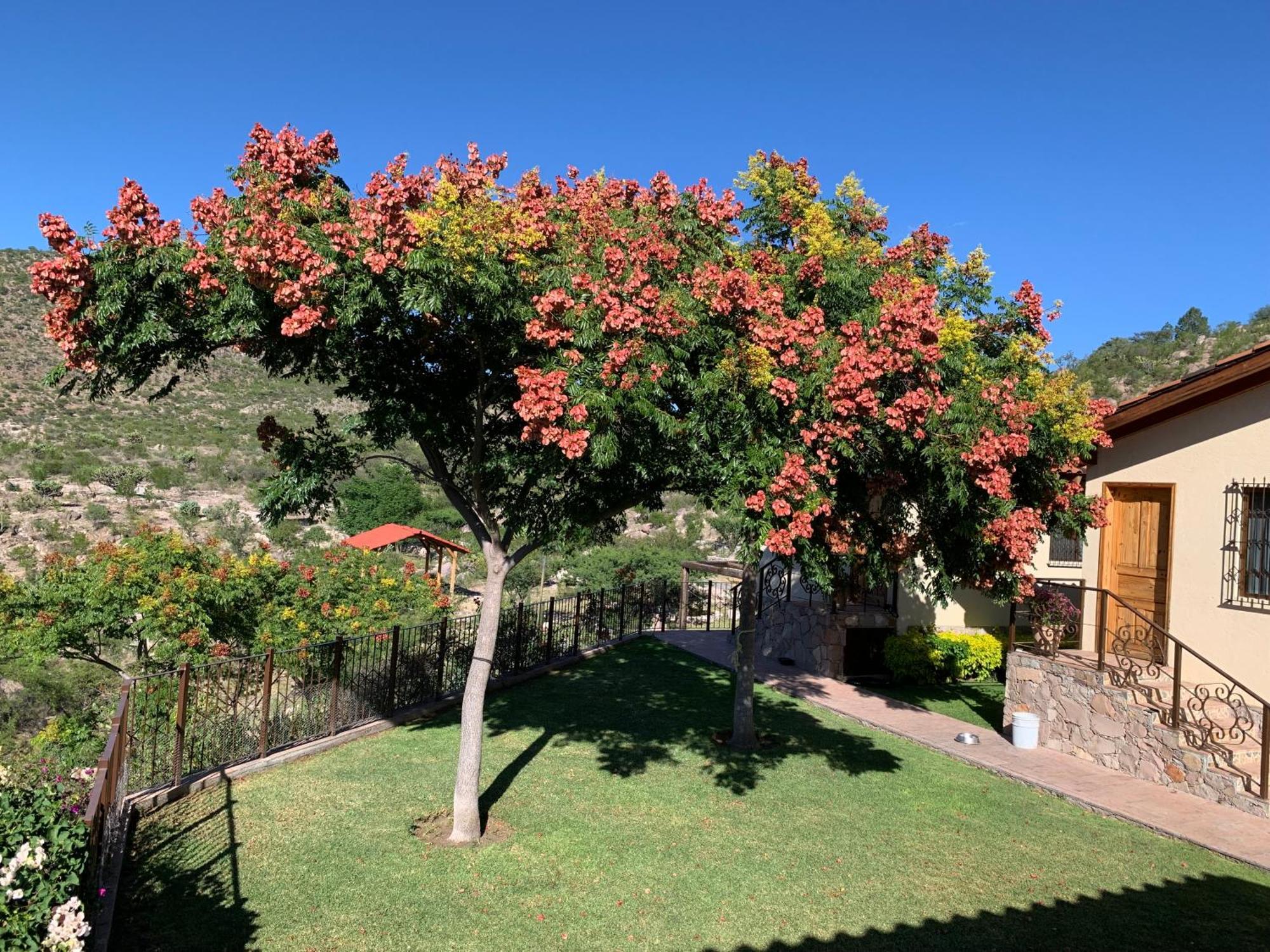 Villa Campestre La Soledad Colon Exterior photo